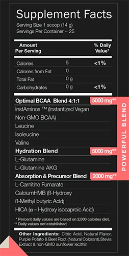 BCAA + GLUTAMINE 25 servicios SASCHA FITNESS